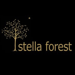 www.toutesvosmarques.com : STELLA FOREST propose la marque STELLA FOREST