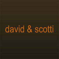 www.toutesvosmarques.com propose la marque DAVID  SCOTTI
